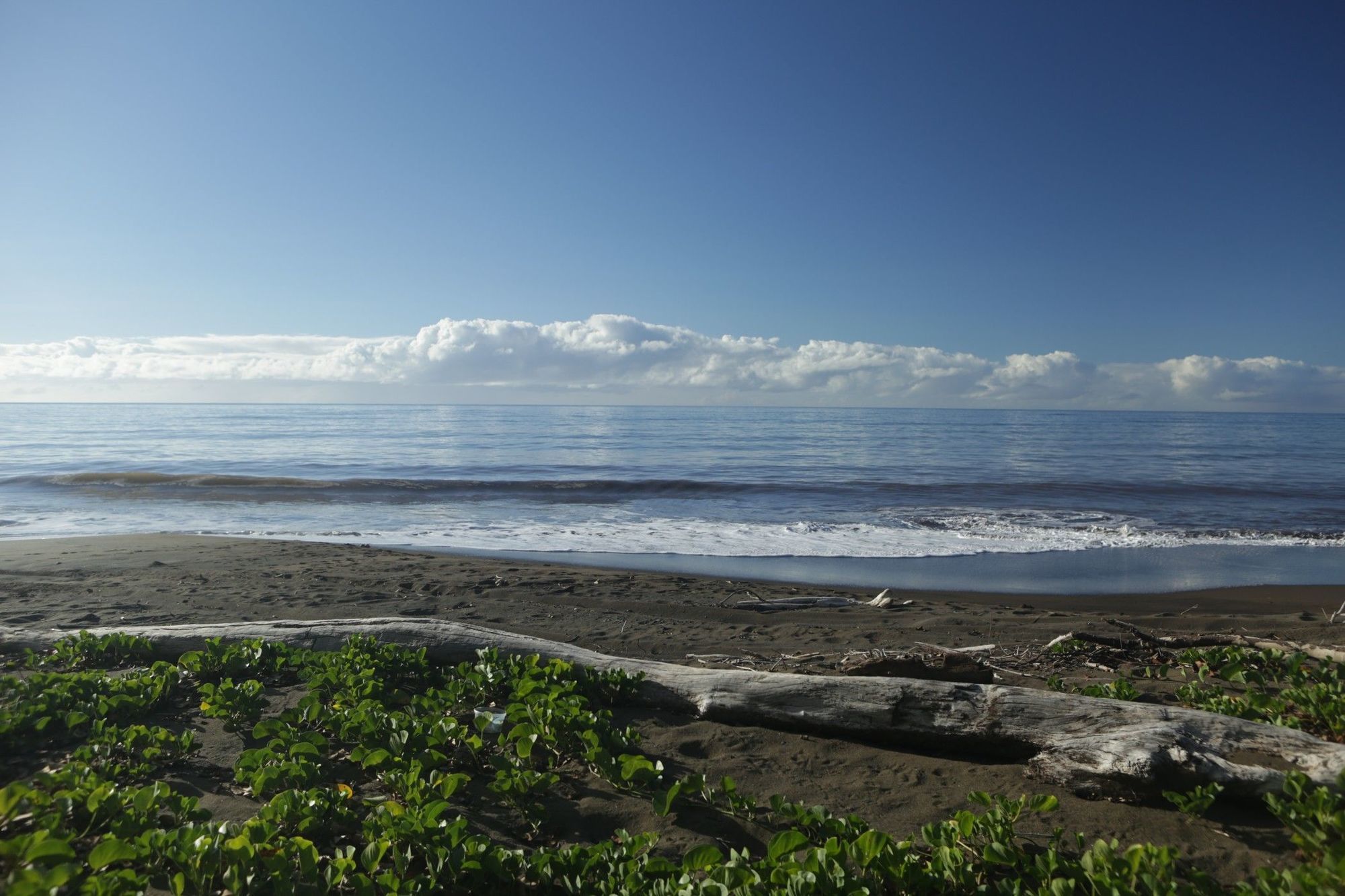 Waimea Plantation Cottages, A Coast Resort Buitenkant foto